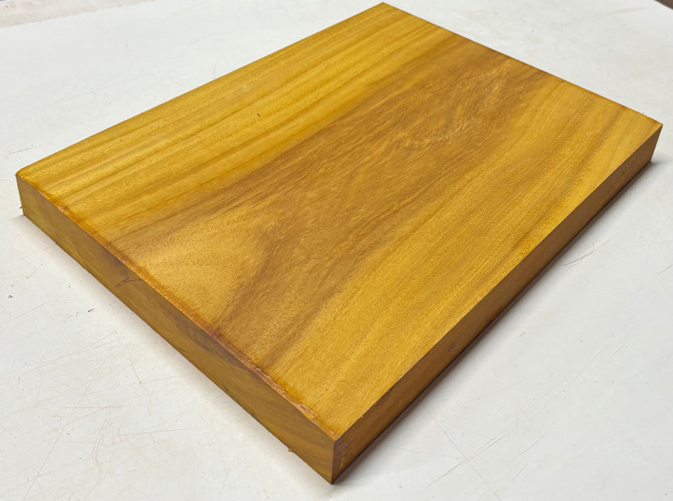 Osage Orange Guitar Body Blank - 21" x 15-3/8" x 1-7/8" (Single Piece) #307