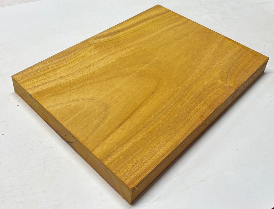 Osage Orange Guitar Body Blank - 21" x 15" x 1-7/8" (Single Piece) #308