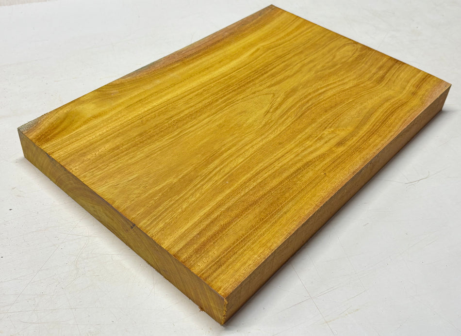Osage Orange Guitar Body Blank - 21" x 14" x 1-7/8" (Single Piece) #310