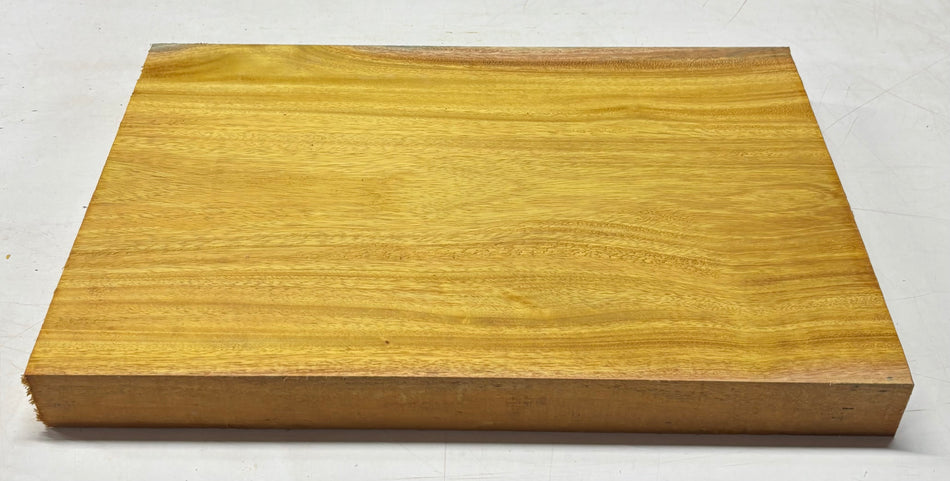 Osage Orange Guitar Body Blank - 21" x 14" x 1-7/8" (Single Piece) #310