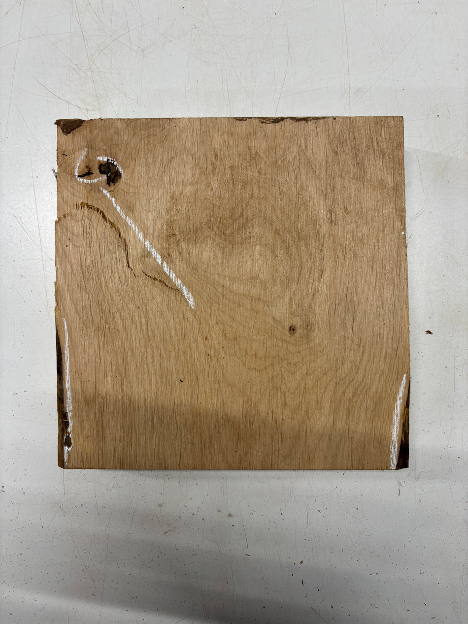 1 Piece, Red Alder Lumber Board Blank  11"x10-7/8"x1-7/8"#5363