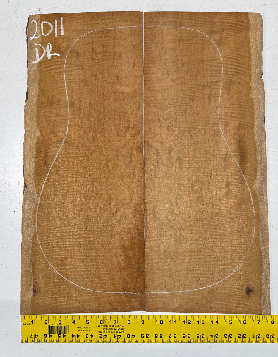 Juego de fondo y aros de guitarra de grado AAAA Dreadnought de palisandro de la India Oriental #61 