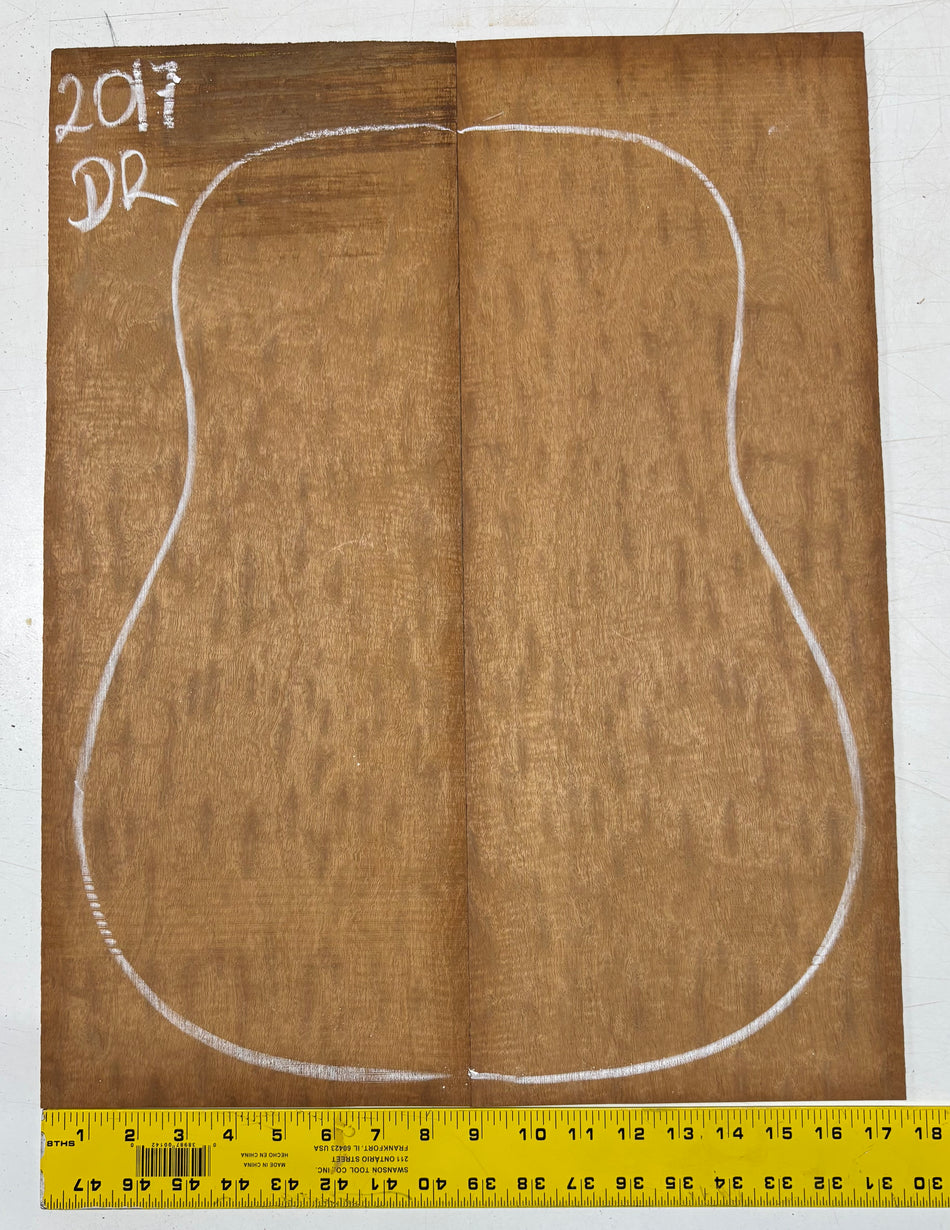 Juego de fondo y aros de guitarra de grado AAAA Dreadnought de palisandro de la India Oriental #61 