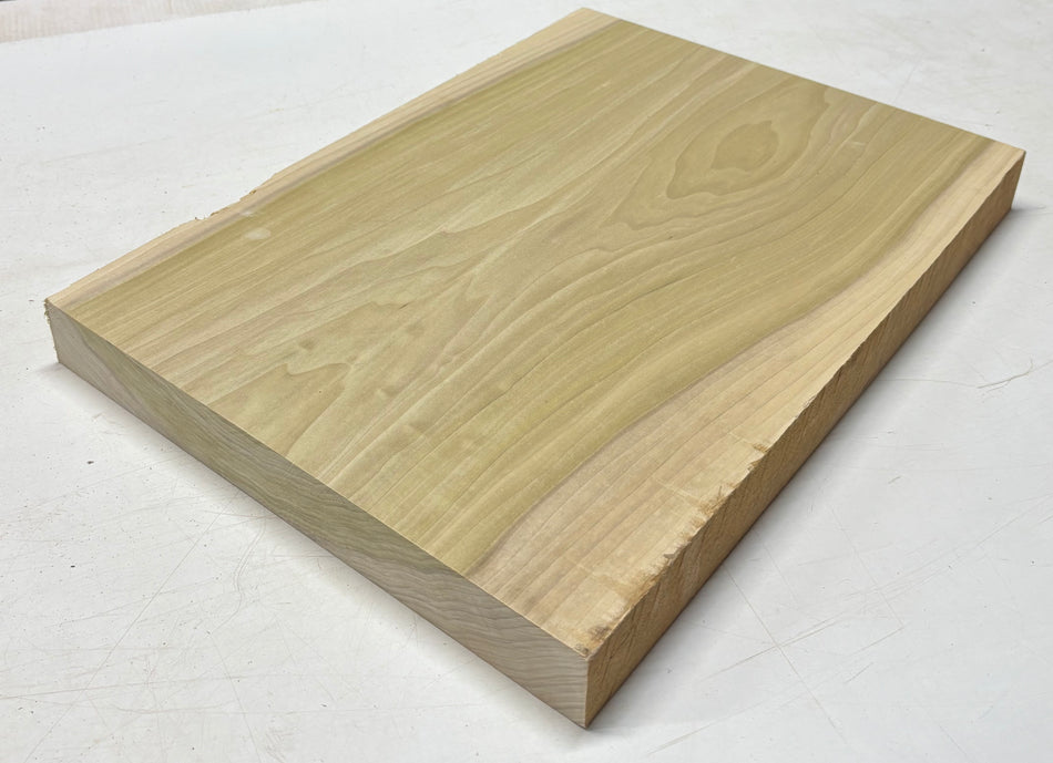 Poplar Guitar Body Blank - 21" x 15" x 1-7/8" (Single Piece) #403
