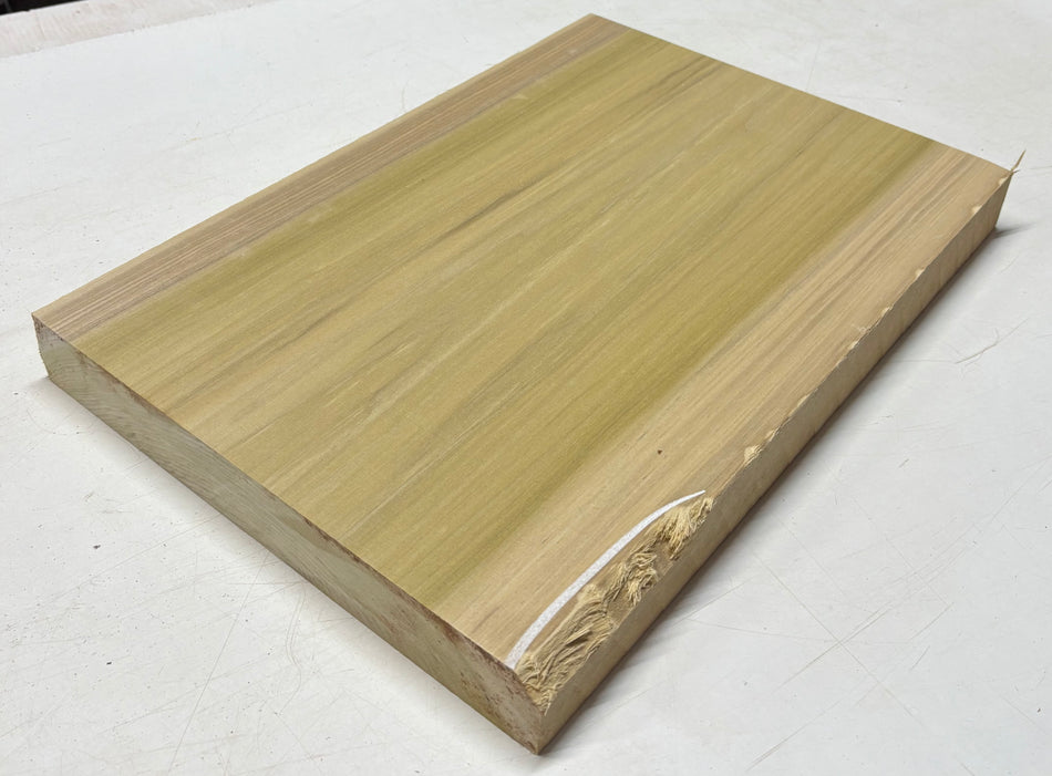 Poplar Guitar Body Blank - 21" x 14-3/8" x 1-7/8" (Single Piece) #404