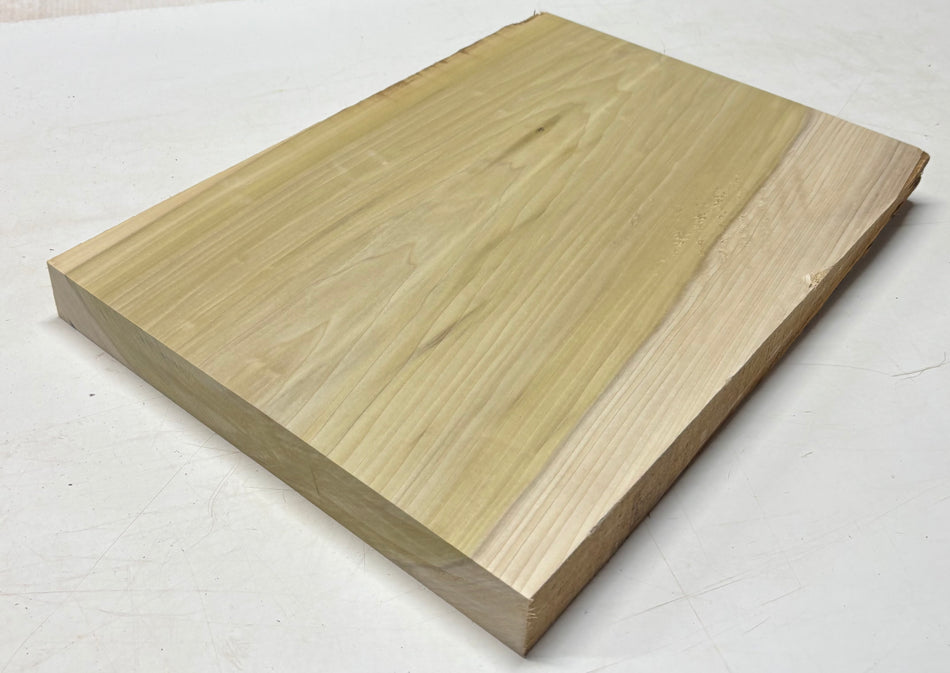 Poplar Guitar Body Blank - 21" x 15" x 1-7/8" (Single Piece) #405