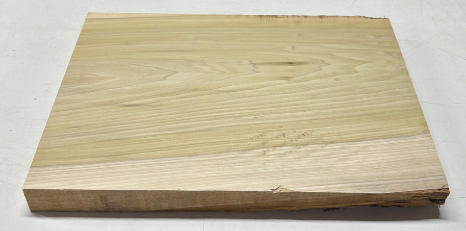 Poplar Guitar Body Blank - 21" x 15" x 1-7/8" (Single Piece) #405