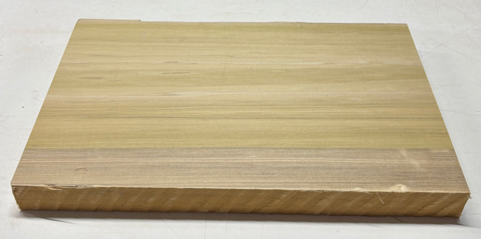 Poplar Guitar Body Blank - 21" x 15" x 1-3/4" (Single Piece) #406