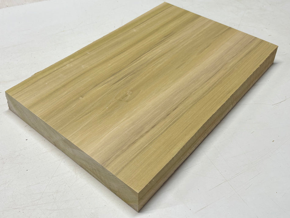 Poplar Guitar Body Blank - 21" x 13-3/4" x 1-7/8" (Single Piece) #409