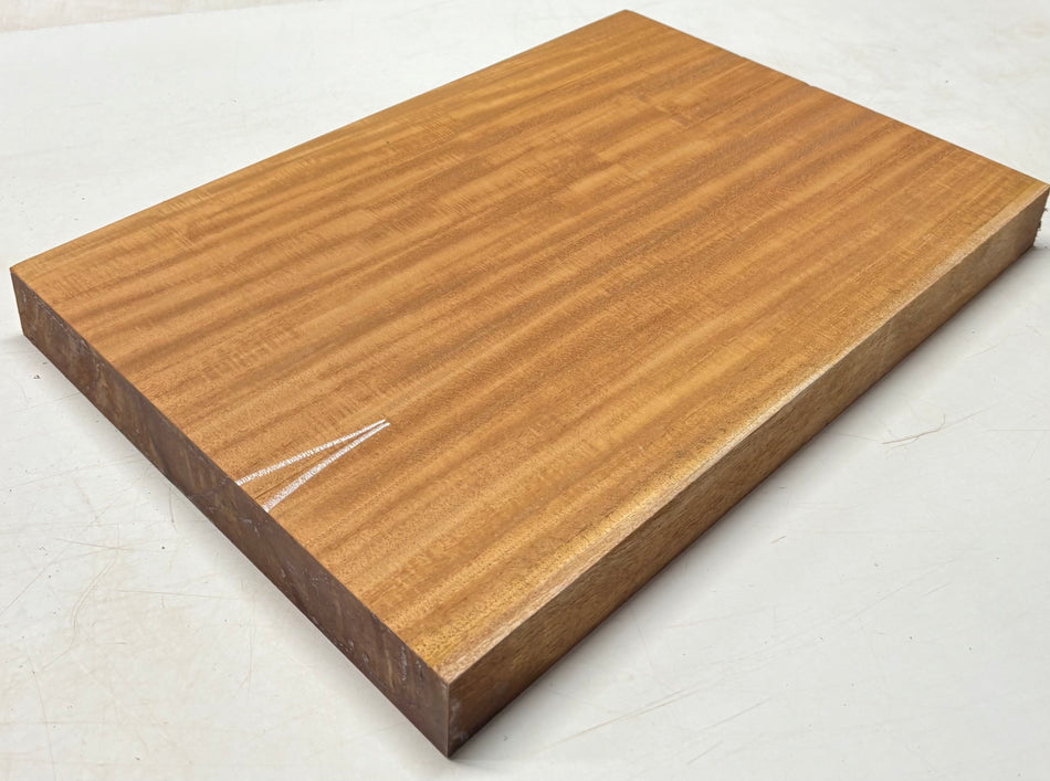 African Swamp Ash/Ayous Guitarra eléctrica/bajo Cuerpo de madera de una sola pieza en blanco 21.5″ x 15-3/4″ x 2-1/4″ #60
