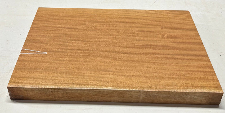 African Swamp Ash/Ayous Guitarra eléctrica/bajo Cuerpo de madera de una sola pieza en blanco 21.5″ x 15-3/4″ x 2-1/4″ #60