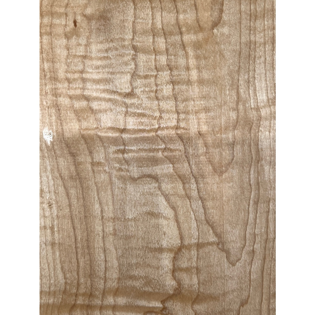 Flame Curly Hard Maple Bookmatched Guitar Drop Tops 21" x 7" x 3/8" #11 - Exotic Wood Zone - Buy online Across USA 