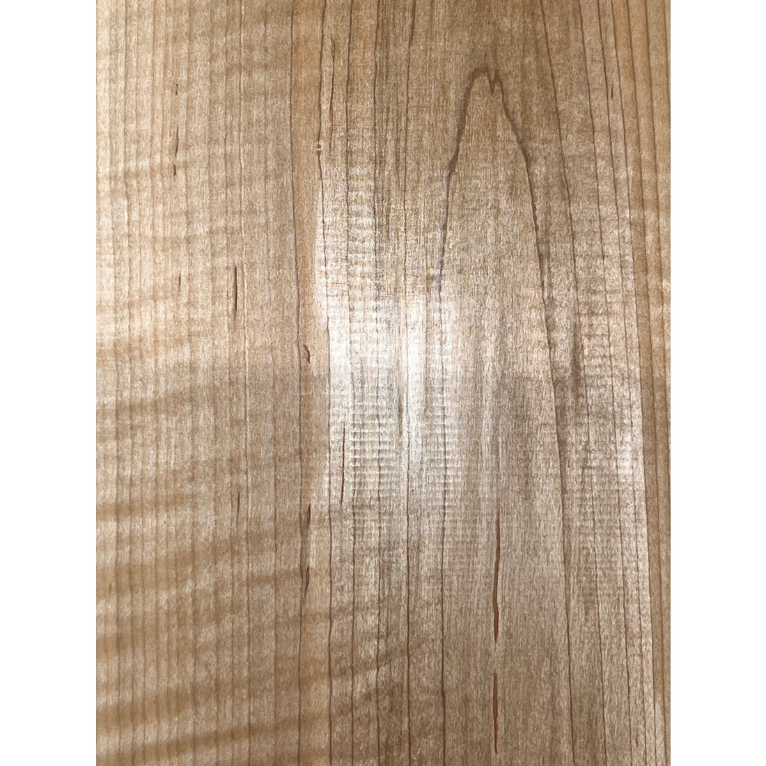 Flame Curly Hard Maple Bookmatched Guitar Drop Tops 21" x 7" x 3/8" #18 - Exotic Wood Zone - Buy online Across USA 