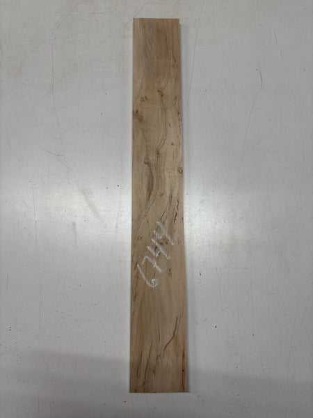 1 Piece, Ambrosia Maple Thin Stock Lumber 30"x4"x1/2"#6744 - Exotic Wood Zone