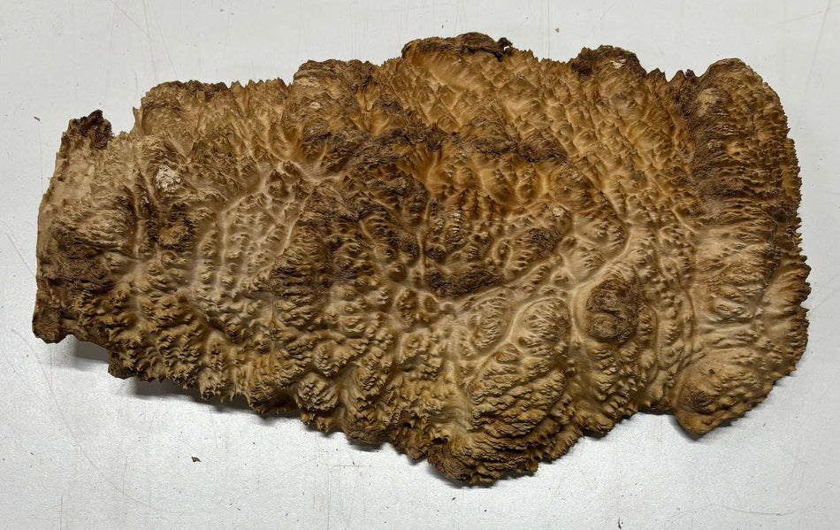 Mallee Burls marrón 20"x17"x6" 29.35 libras | #637