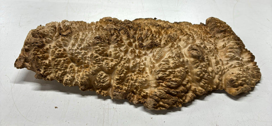 Mallee Burls marrón 20"x17"x6" 29.35 libras | #637