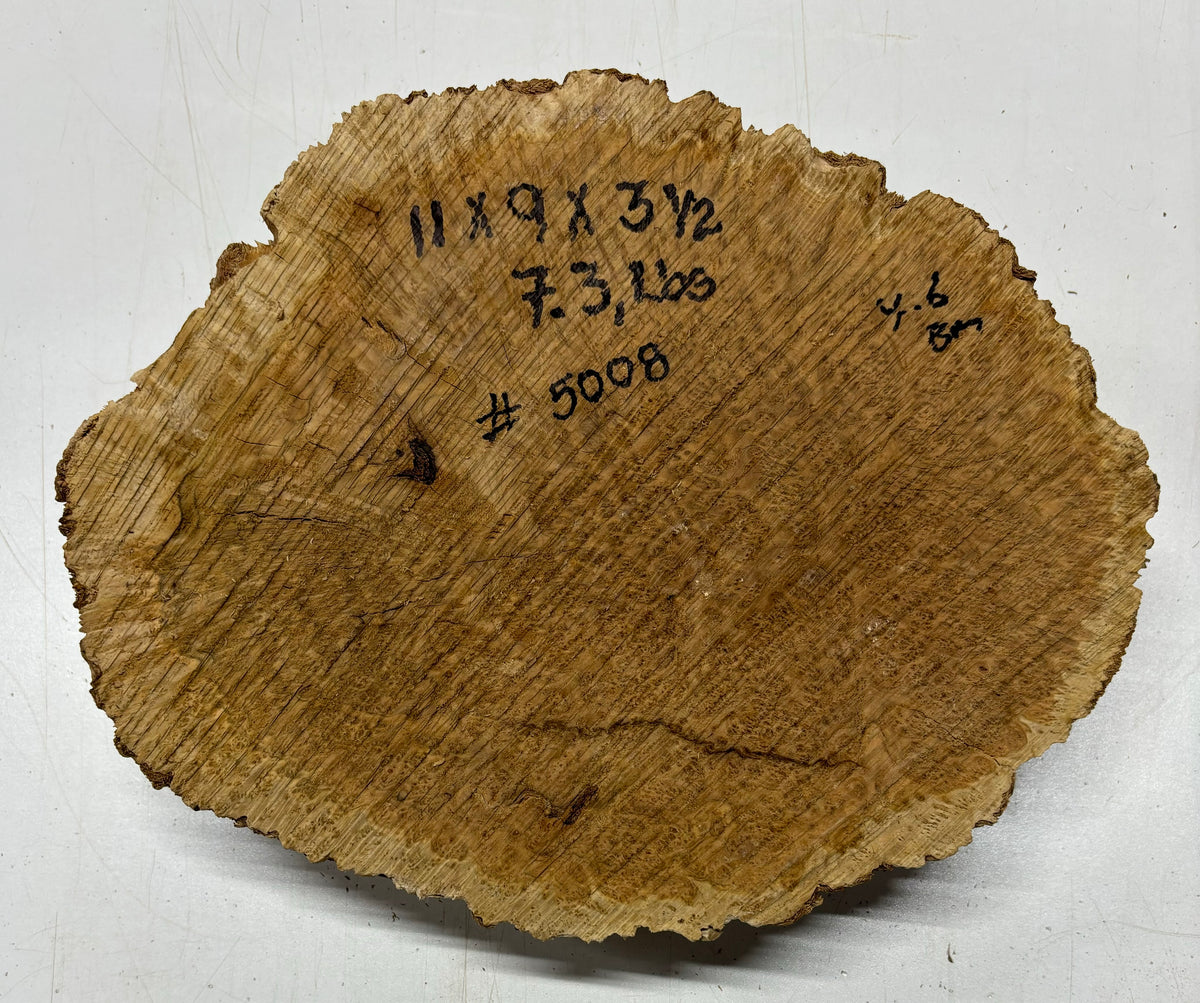 Brown Mallee Burl Cookies 11" x 9" x 3-1/2"  7.3Lbs | #5008 (Copy) Exotic Wood Zone 