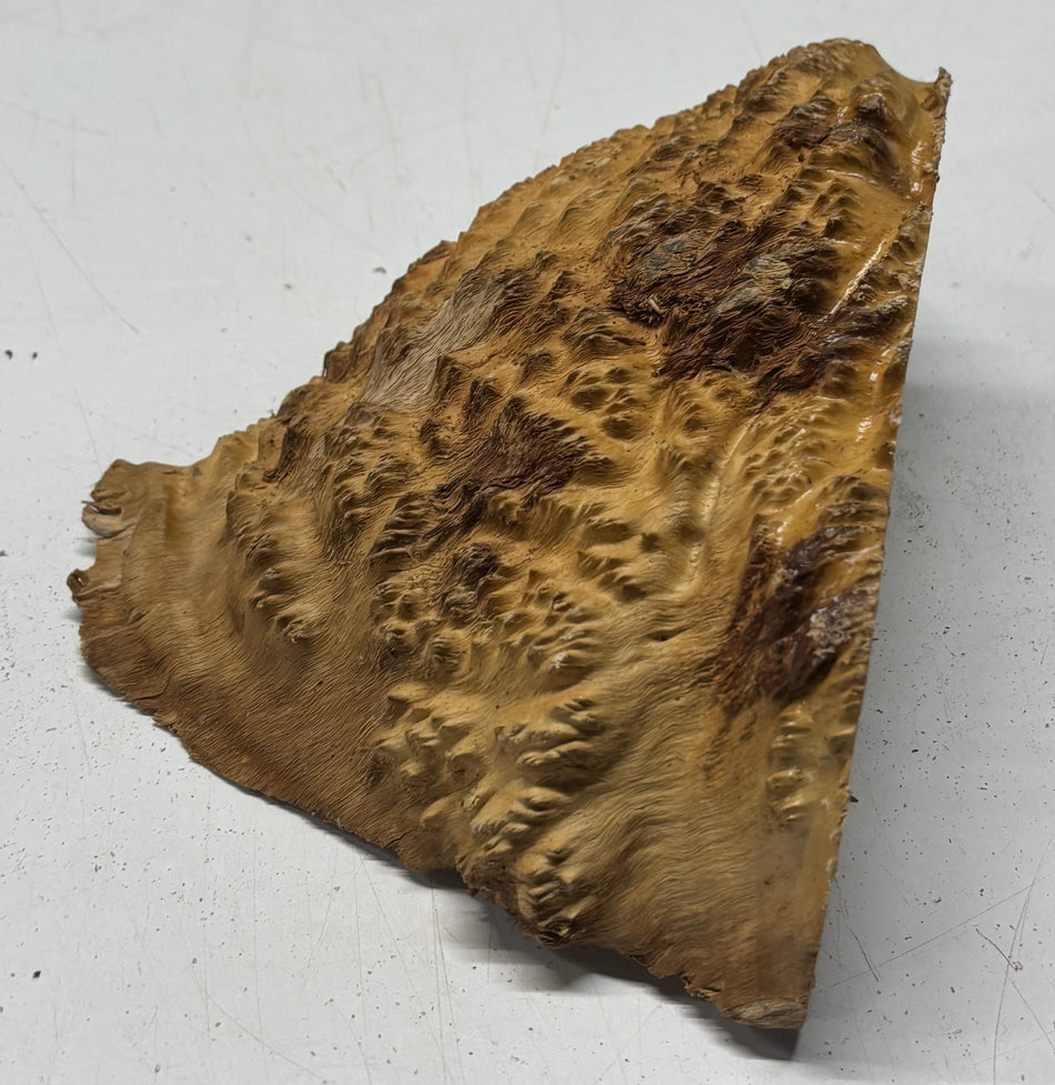 Brown Mallee Burl Cap 9" x 6" x 3" #6441