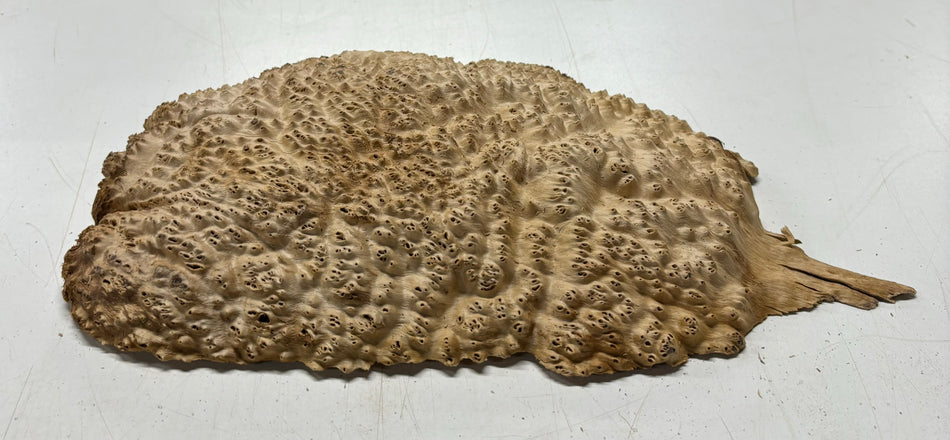 Mallee Burls marrón 20"x17"x6" 29.35 libras | #637