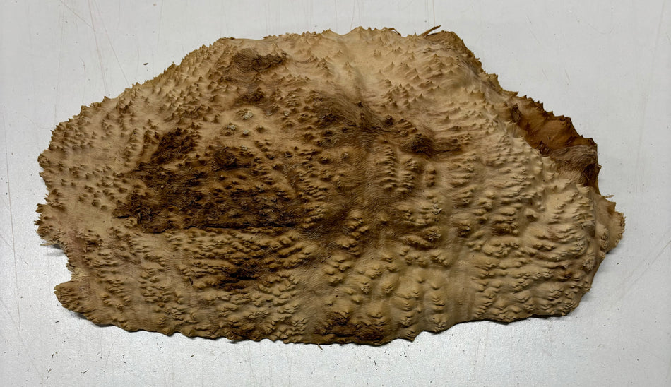 Mallee Burls marrón 20"x17"x6" 29.35 libras | #637