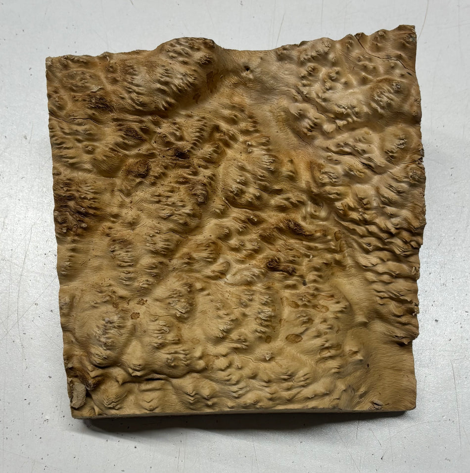 Brown Mallee Burl Cap 7" x 6-1/2" x 2" #6445