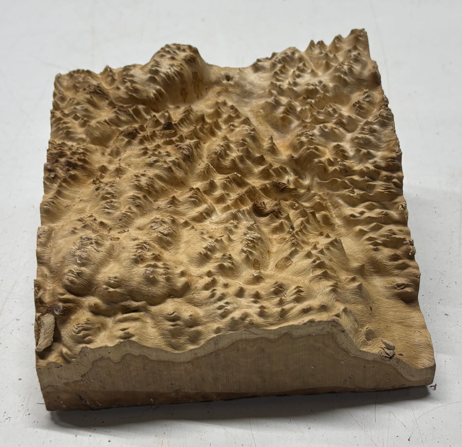 Brown Mallee Burl Cap 7" x 6-1/2" x 2" #6445