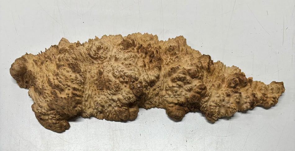 Mallee Burls marrón 20"x17"x6" 29.35 libras | #637