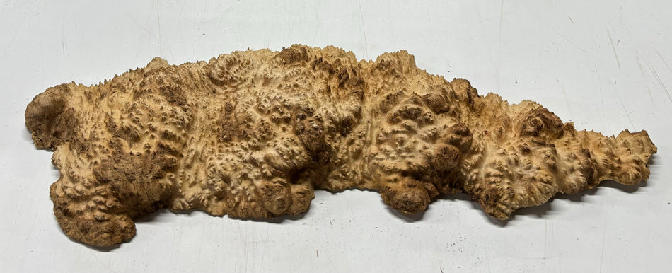 Mallee Burls marrón 20"x17"x6" 29.35 libras | #637