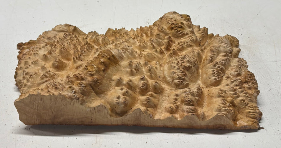 Brown Mallee Burl Cap 11" x 5-1/2" x 1" #6448