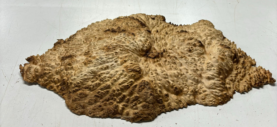 Mallee Burls marrón 20"x17"x6" 29.35 libras | #637
