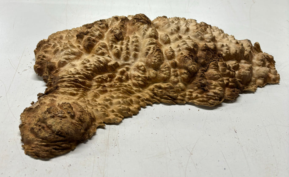 Mallee Burls marrón 20"x17"x6" 29.35 libras | #637