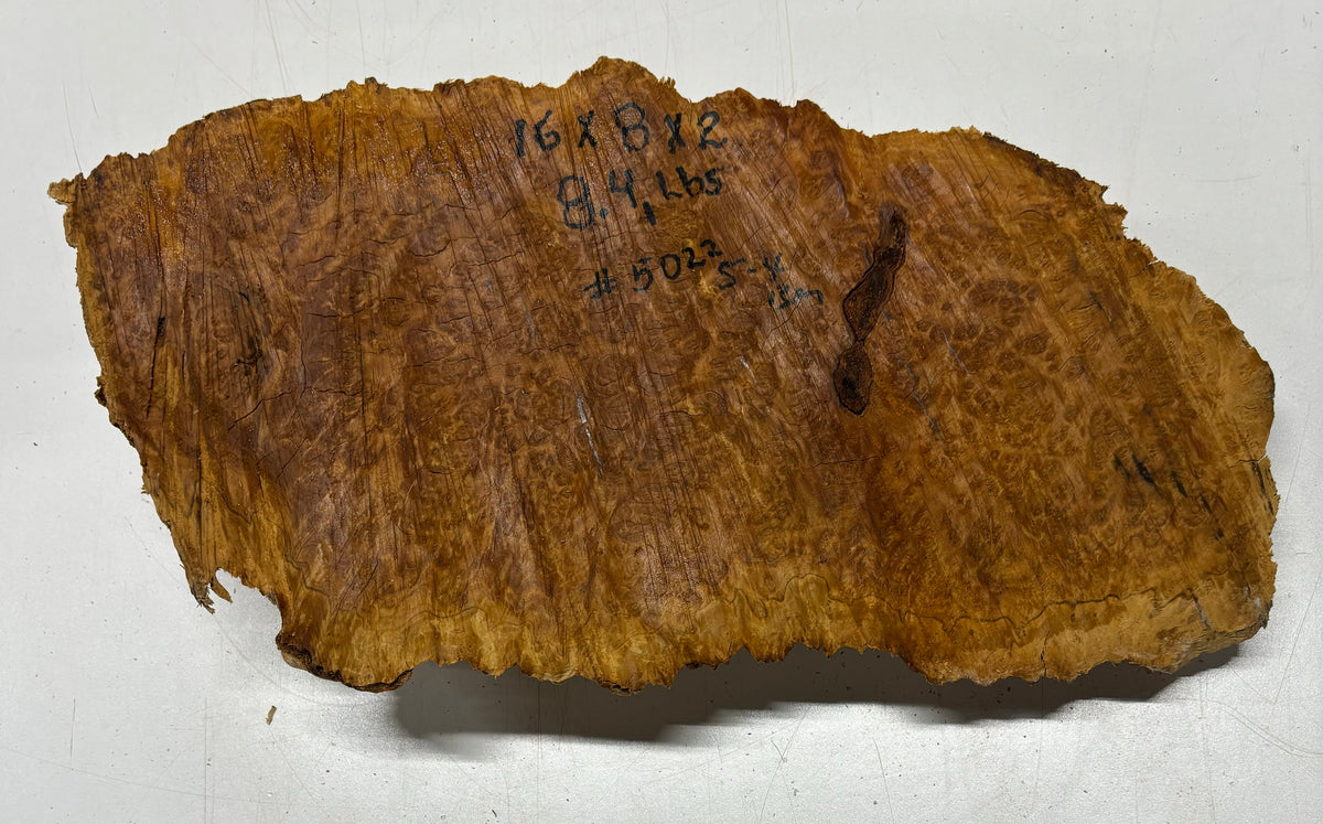 Brown Mallee Burl Cookies 16" x 8" x 2"  8.4 Lbs | #5022 Exotic Wood Zone 