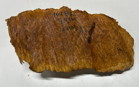 Brown Mallee Burl Cookies 16" x 8" x 2"  8.4 Lbs | #5022 Exotic Wood Zone 