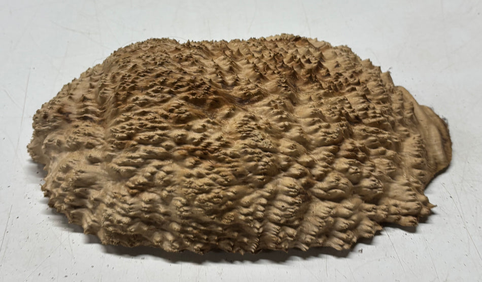 Gorra chechena de nudo 19" x 8" x 3", 7.0 lbs | #521