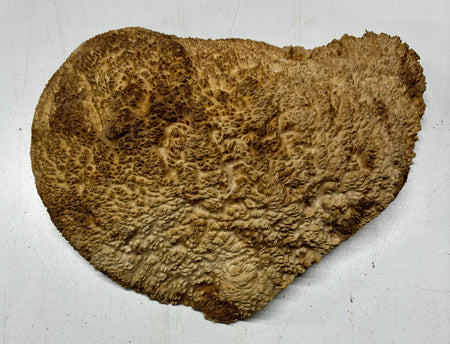 Brown Mallee Burl Cookies 11" x 8" x 3-1/2"  10 Lbs | #5029 Exotic Wood Zone 