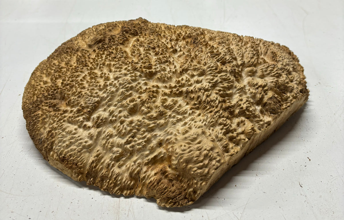 Brown Mallee Burl Cookies 11" x 8" x 3-1/2"  10 Lbs | #5029 Exotic Wood Zone 