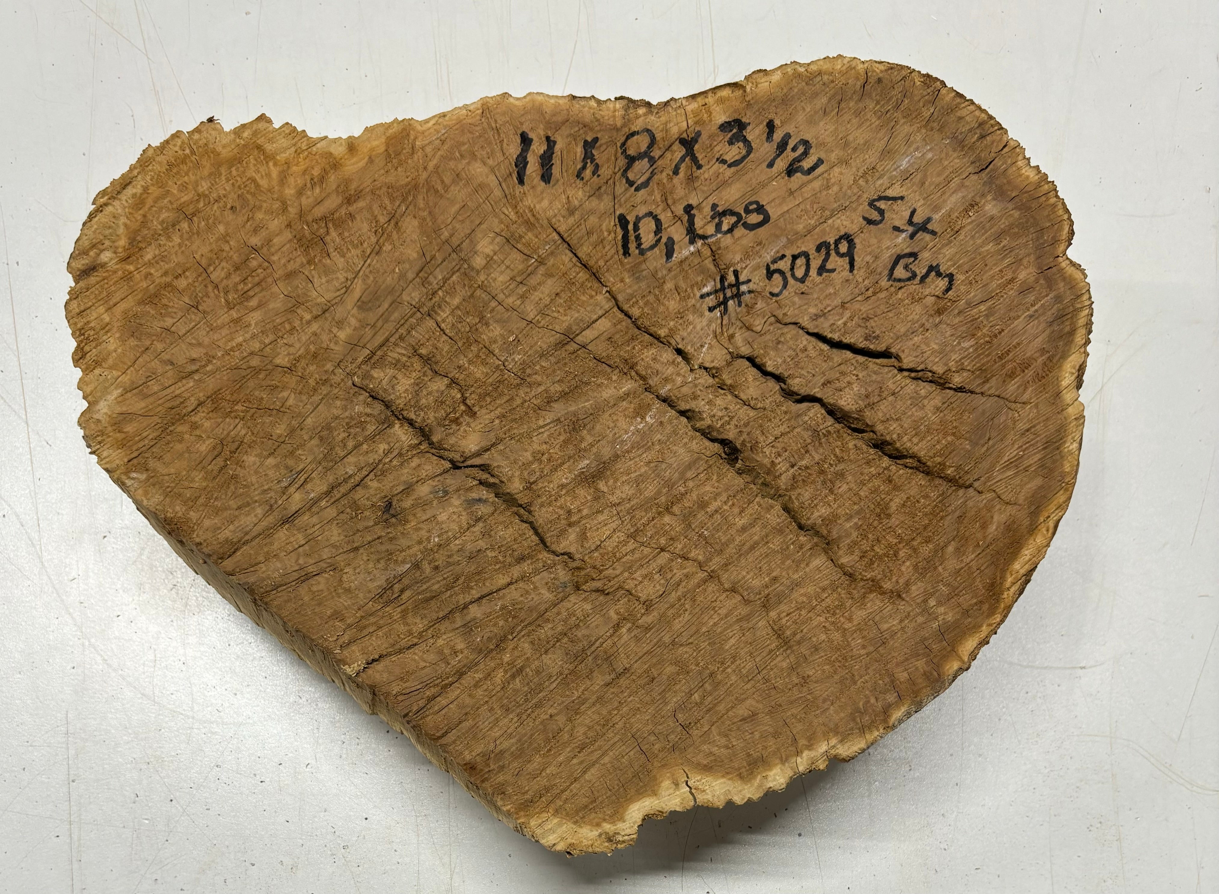 Brown Mallee Burl Cookies 11" x 8" x 3-1/2"  10 Lbs | #5029 Exotic Wood Zone 