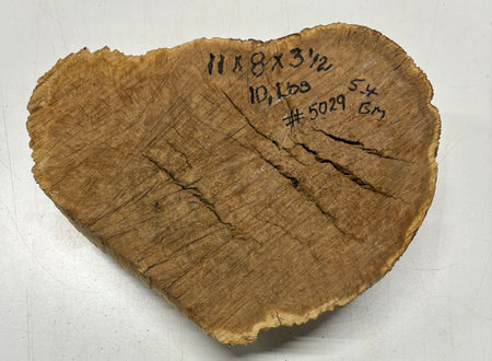 Brown Mallee Burl Cookies 11" x 8" x 3-1/2"  10 Lbs | #5029 Exotic Wood Zone 