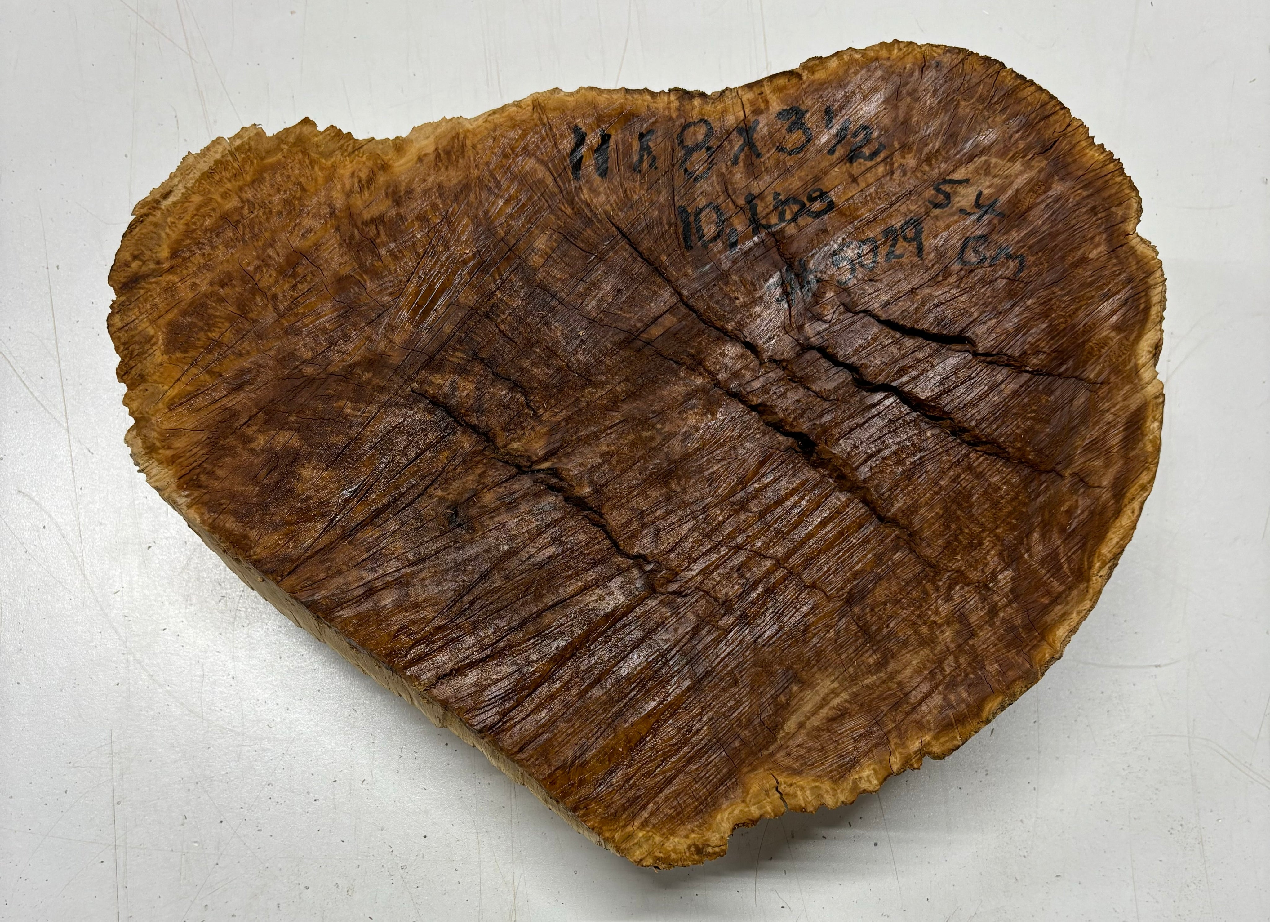 Brown Mallee Burl Cookies 11" x 8" x 3-1/2"  10 Lbs | #5029 Exotic Wood Zone 