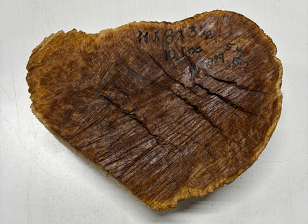 Brown Mallee Burl Cookies 11" x 8" x 3-1/2"  10 Lbs | #5029 Exotic Wood Zone 