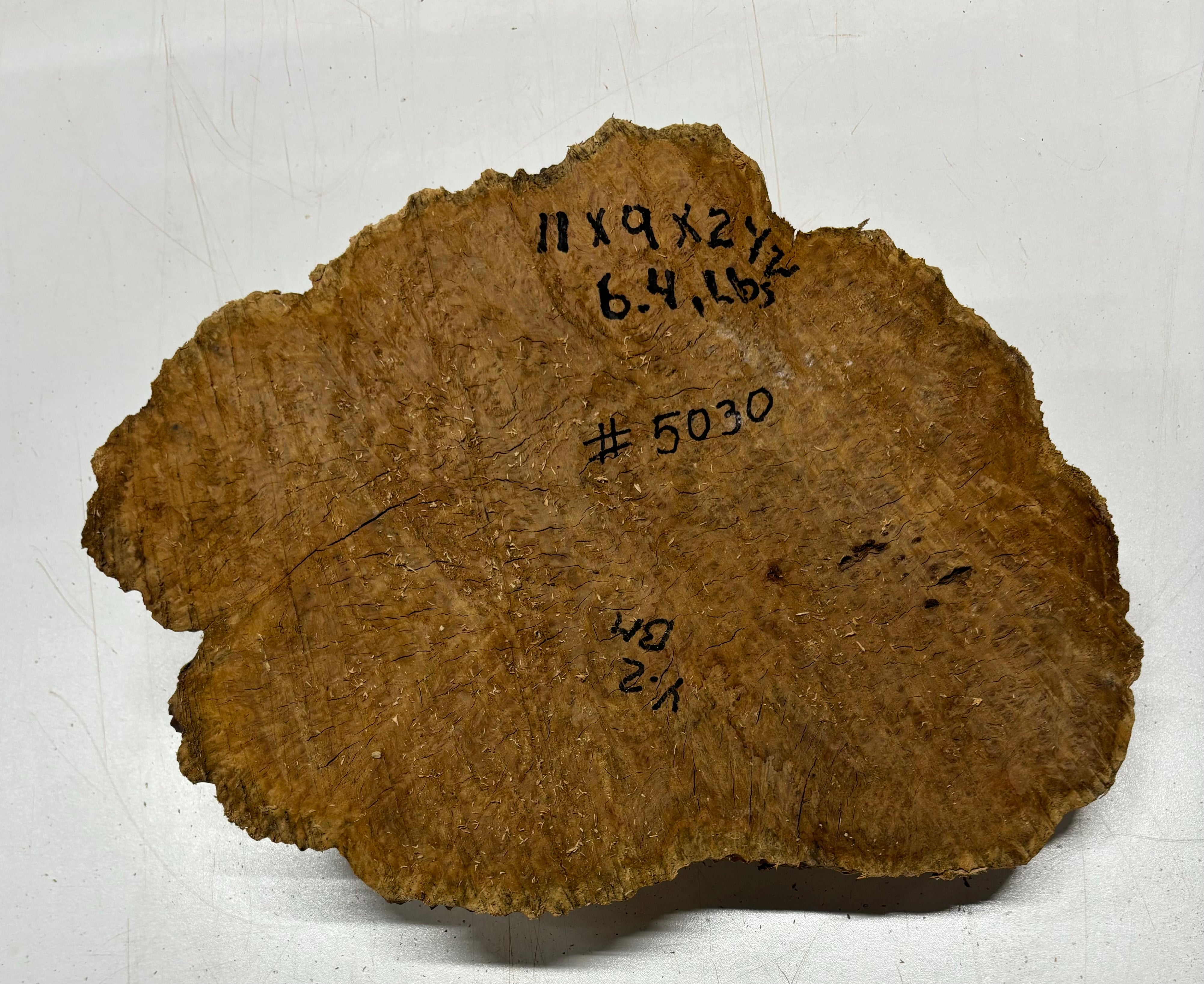 Brown Mallee Burl Cookies 11" x 9" x 2-1/2"  6.4 Lbs | #5030 Exotic Wood Zone 