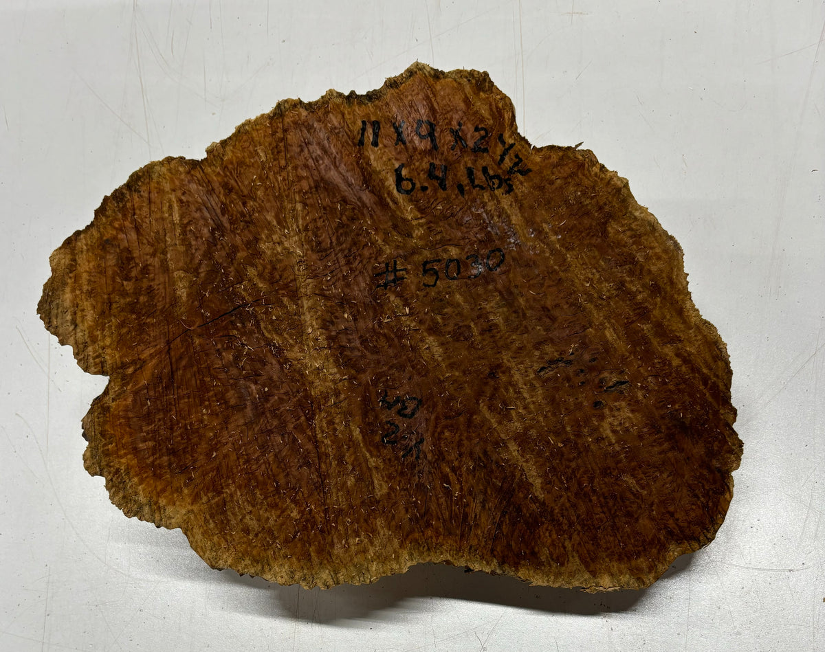 Brown Mallee Burl Cookies 11" x 9" x 2-1/2"  6.4 Lbs | #5030 Exotic Wood Zone 