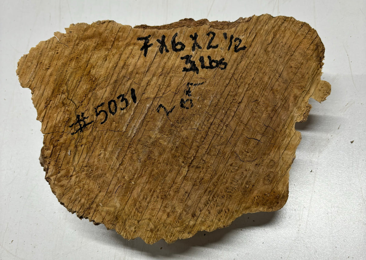 Brown Mallee Burl Cookies 11" x 6" x 2-1/2"  3 Lbs | #5031 Exotic Wood Zone 