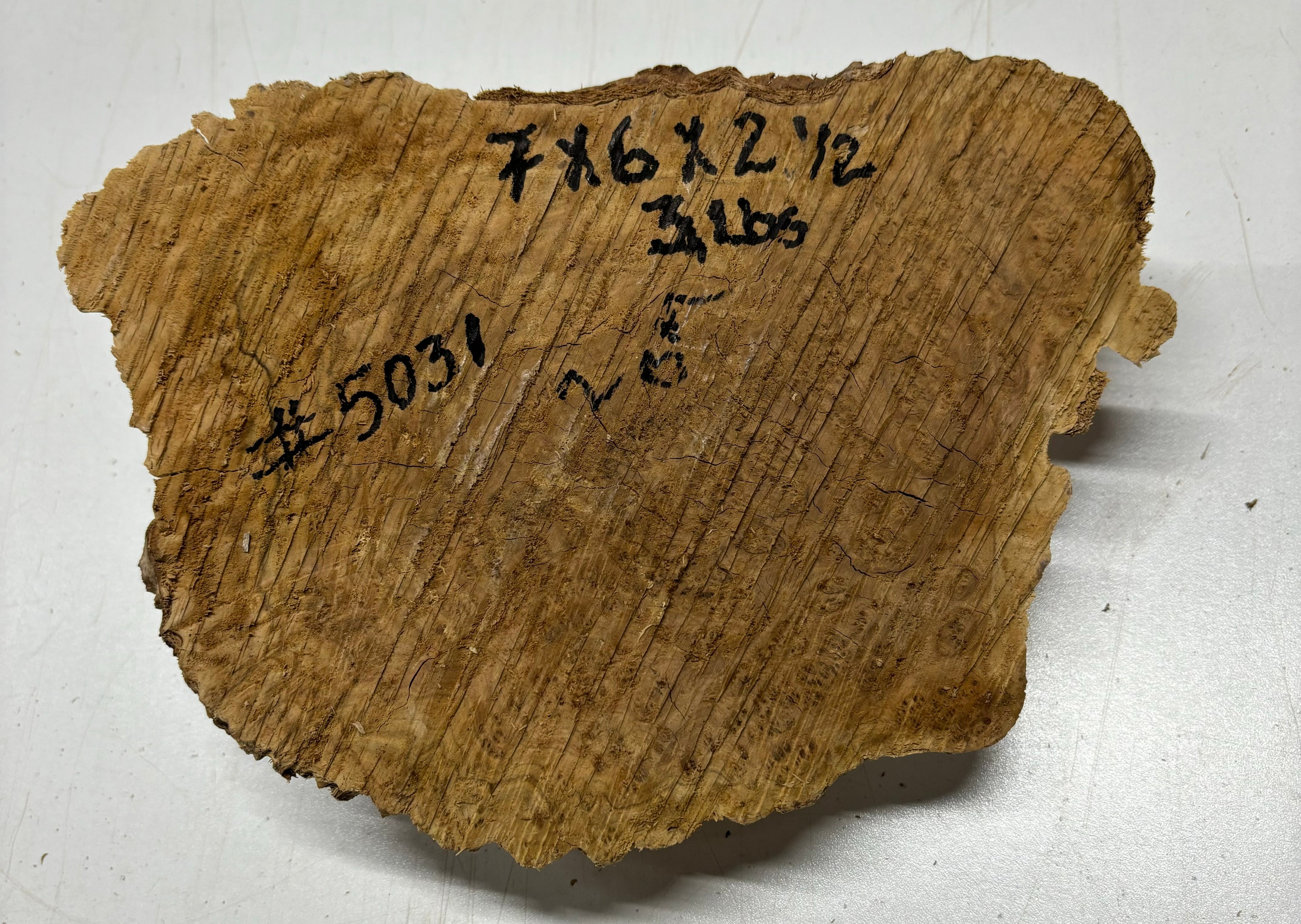 Brown Mallee Burl Cookies 11" x 6" x 2-1/2"  3 Lbs | #5031 Exotic Wood Zone 