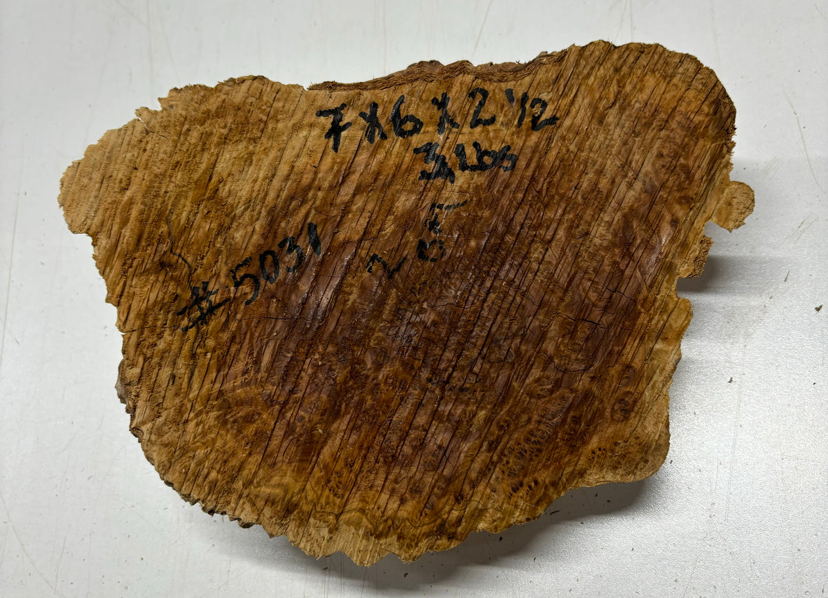 Brown Mallee Burl Cookies 11" x 6" x 2-1/2"  3 Lbs | #5031 Exotic Wood Zone 