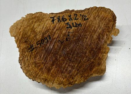 Brown Mallee Burl Cookies 11" x 6" x 2-1/2"  3 Lbs | #5031 Exotic Wood Zone 