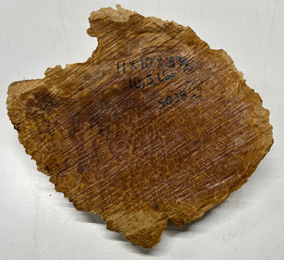 Brown Mallee Burl Cookies 11" x 10" x 3-1/2"  10.3 Lbs | #5038