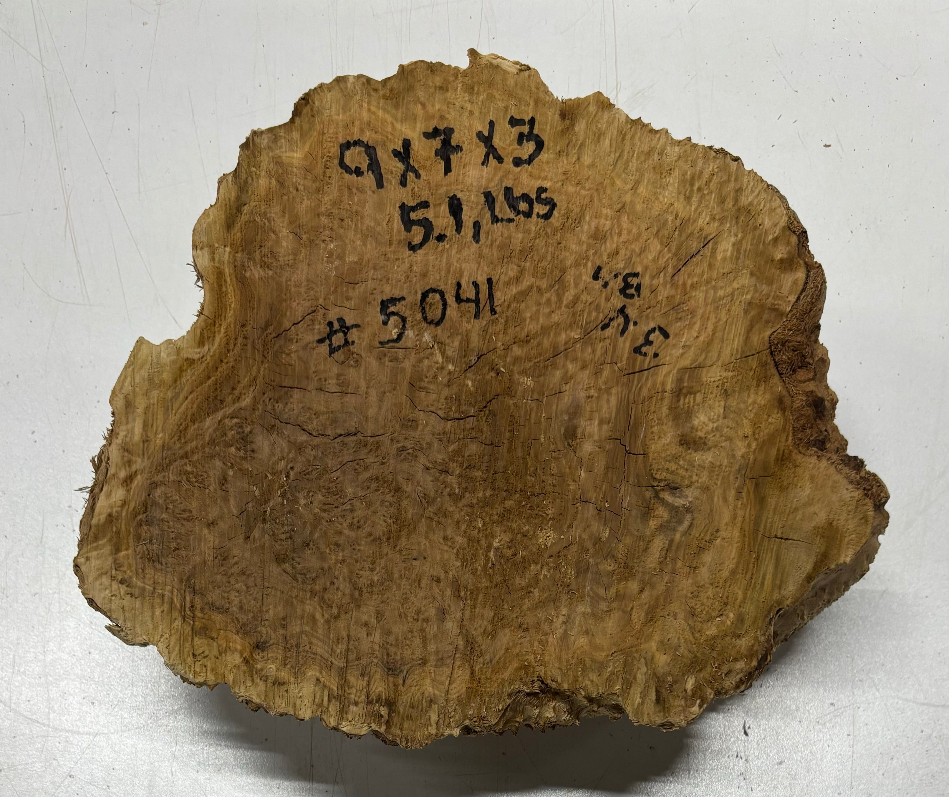 Brown Mallee Burl Cookies 15" x 8" x 2"  7.1 Lbs | #5041 Exotic Wood Zone 