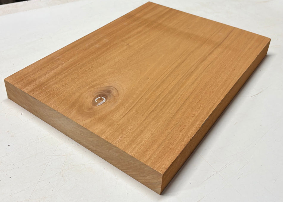 Mahogany Guitar Body Blank - 21" x 15" x 1-7/8" (Single Piece) #605