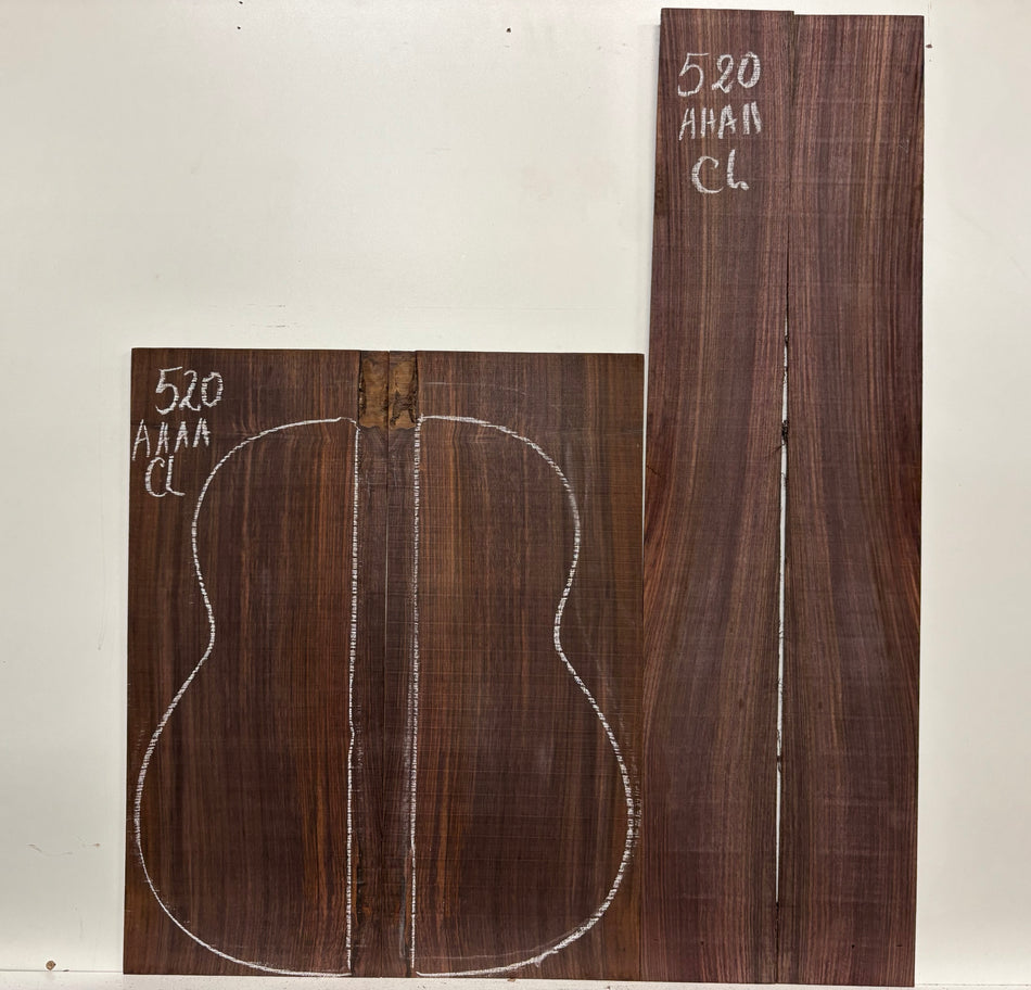 Juego de fondo y aros de guitarra de grado AAAA Dreadnought de palisandro de la India Oriental #61 